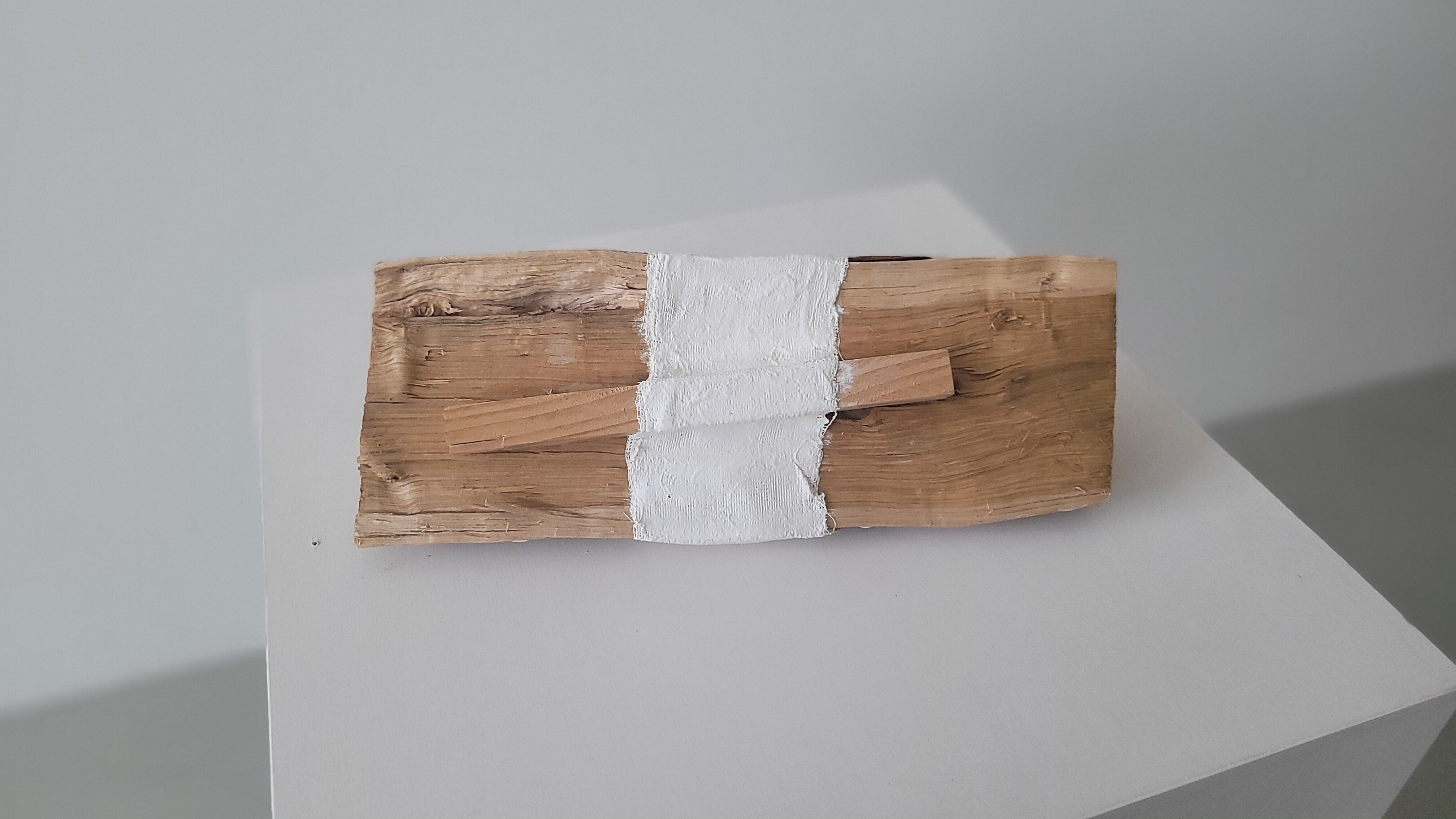 Arik Levy, SilentFutures _ Stille Zukünfte, Ausstellung, Kunstausstellung, Duisburg, Museum DKM, Fixing Nature