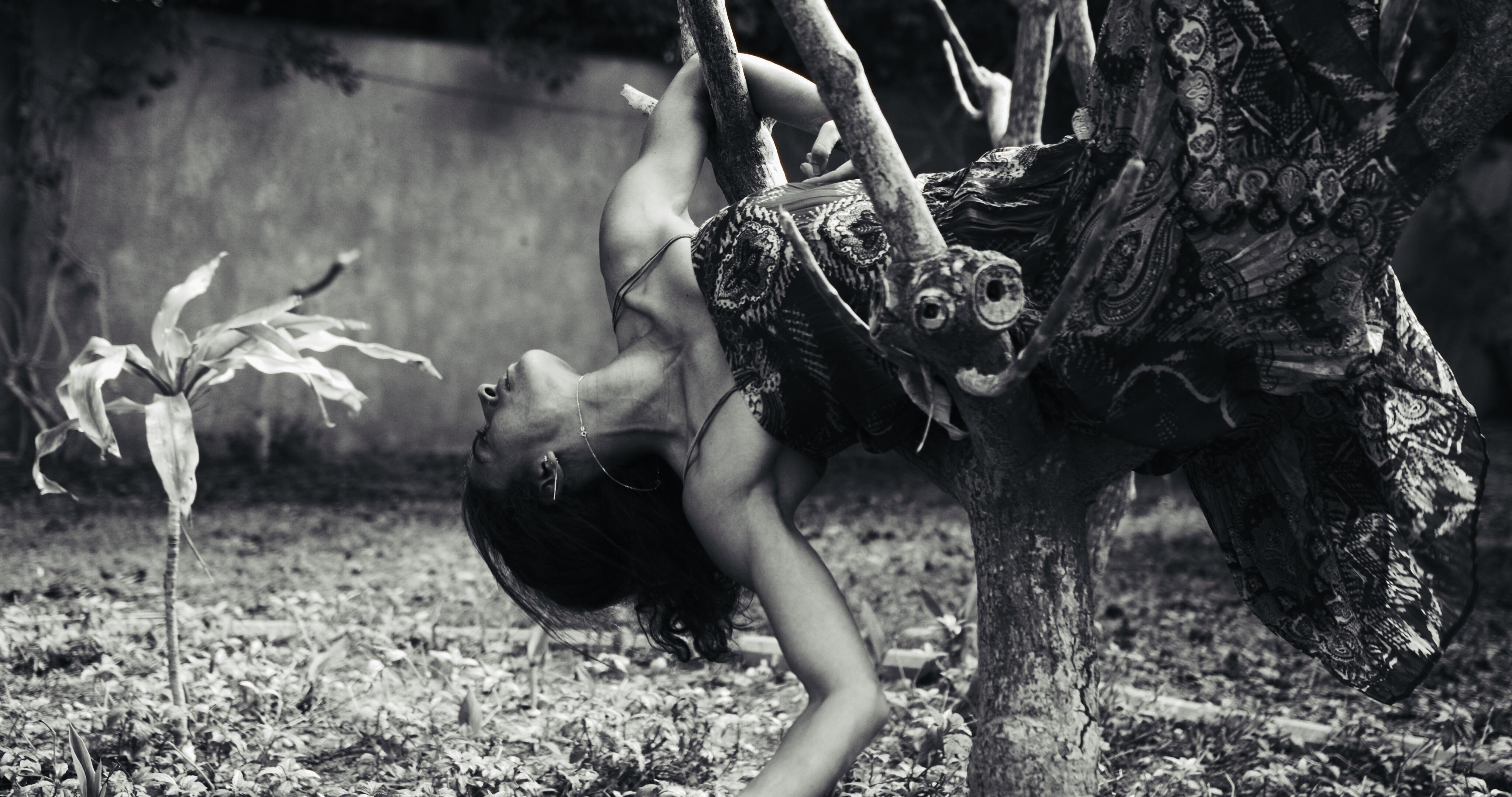 9. Internationales Bonner Tanzsolofestival, Tanzfestival, Tanz, Festival, Bonn, Bundeskunsthalle, Tanzgenerator Bonn, Theater im Ballsaal, KOMME WAS WOLLE, Diving into the wreck, Michael Maurissen