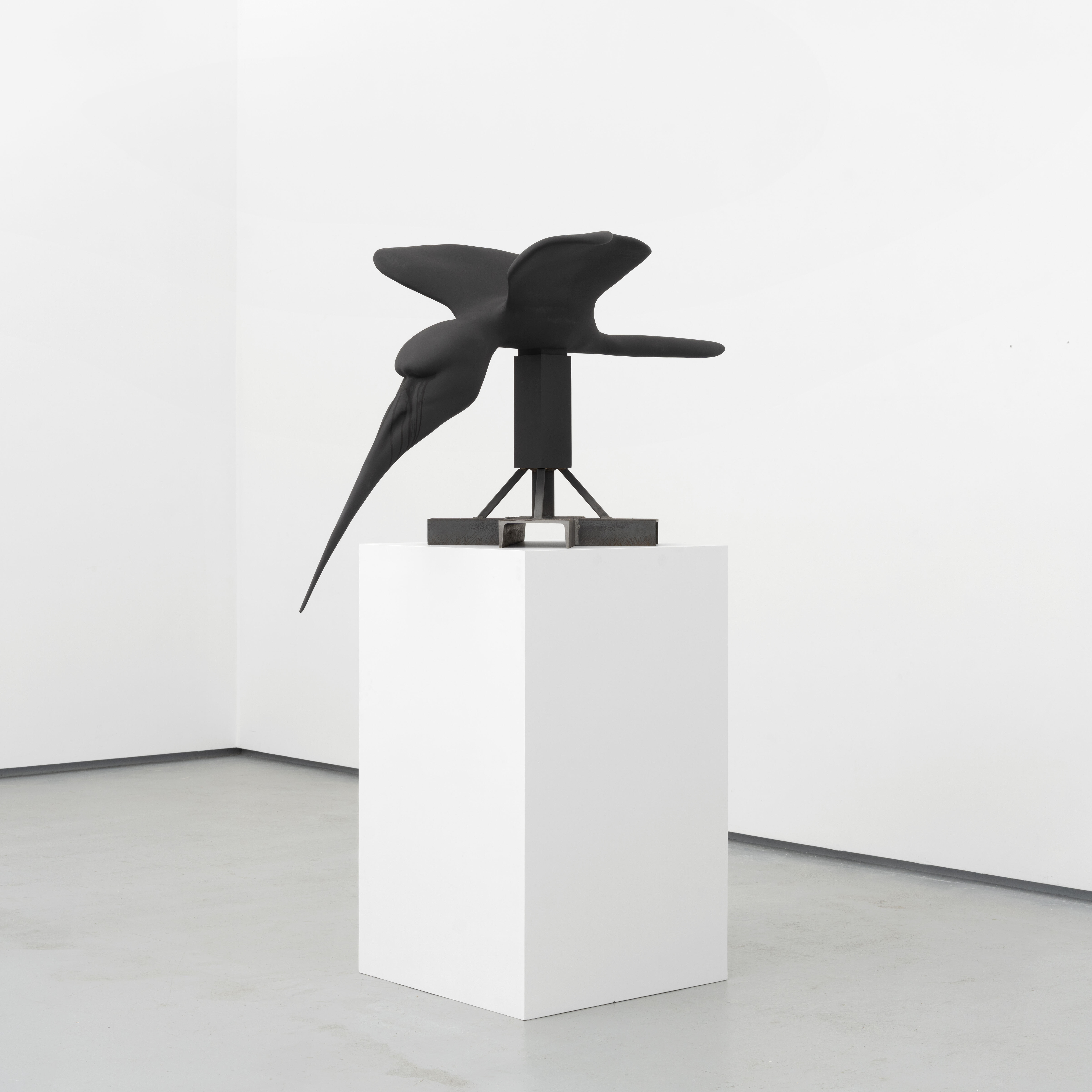 Dorothea von Stetten-Kunstpreis 2026, Ausstellung, Kunstausstellung, Bonn, Kunstmuseum Bonn, Tohé Commaret, Sarah-Anaïs Desbenoit, Pol Taburet, Butterfly, Nicolas Brasseur