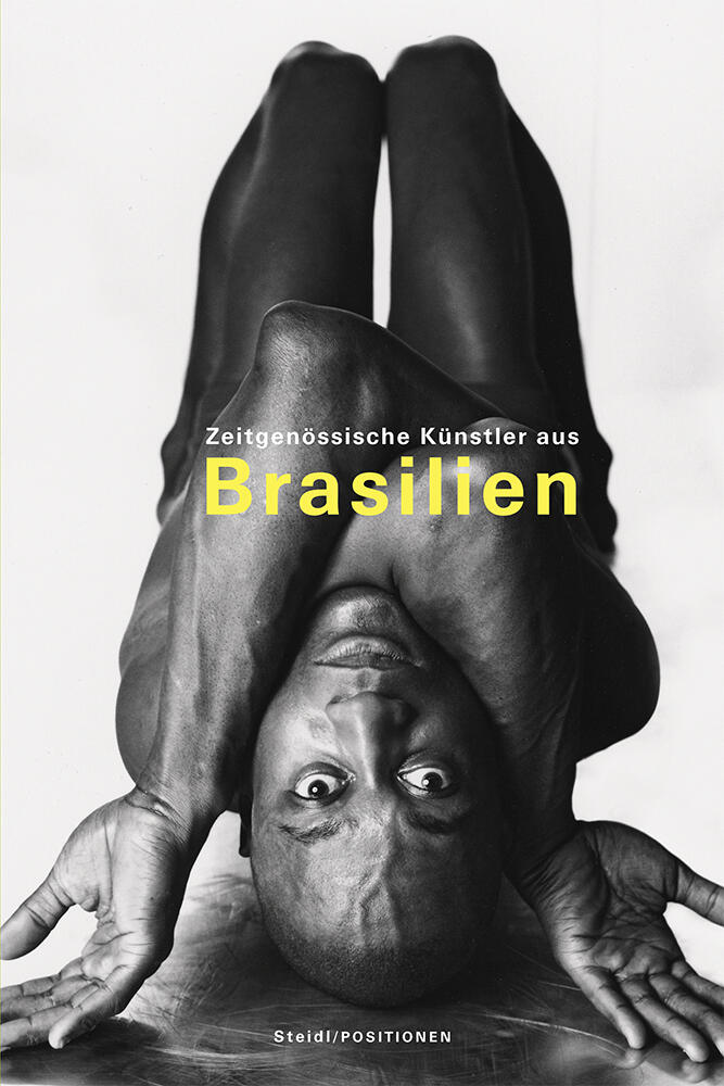 zeitgenoessische kuenstler aus brasilien, alfons hug, kunstbuch bildband fotobuch ausstellungskatalog