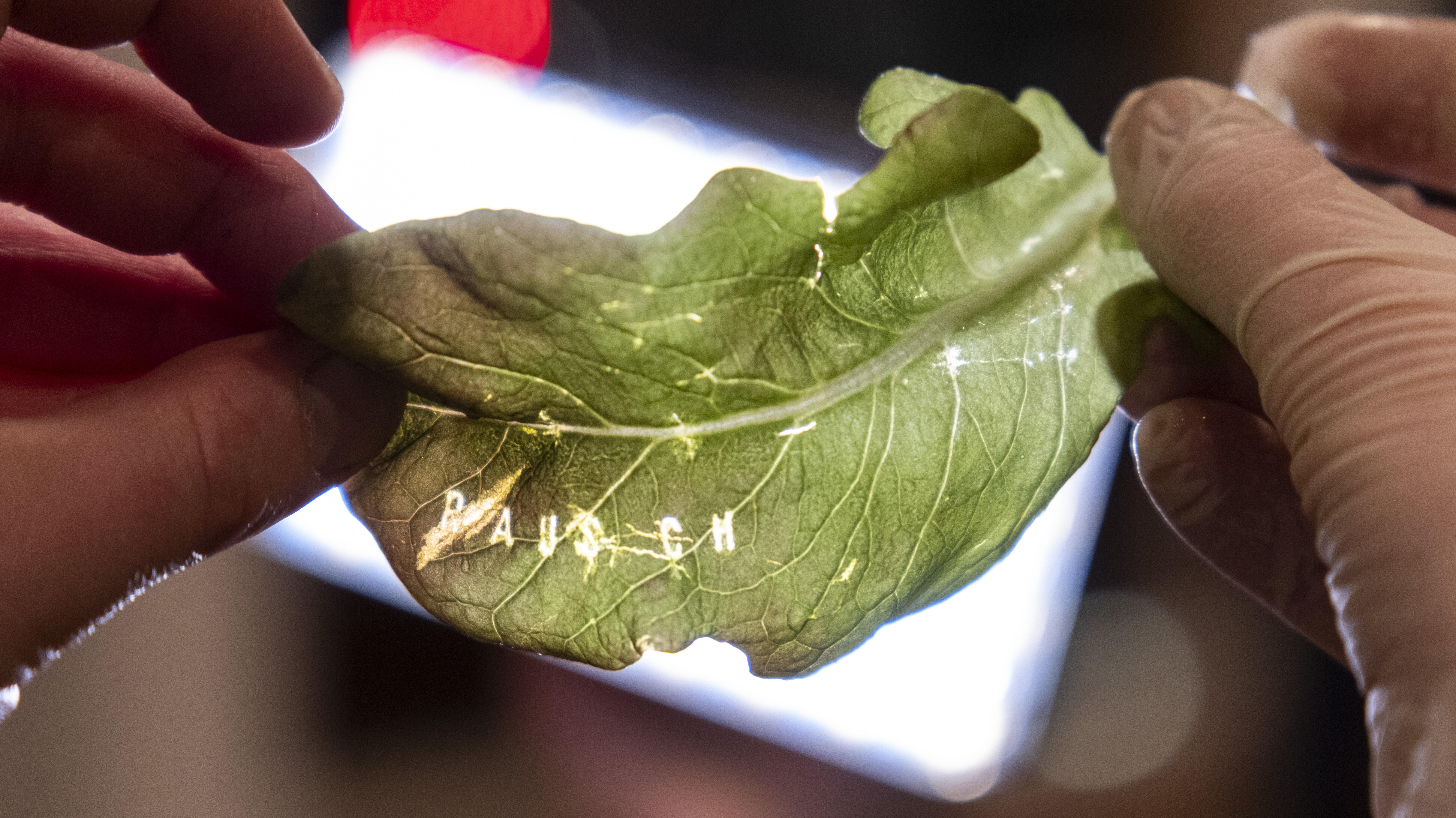 Yuko Mohri, Ei Arakawa-Nash, How We Meet, Ausstellung, Kunstausstellung, Bochum, Kunstmuseum Bochum, Holtgreve