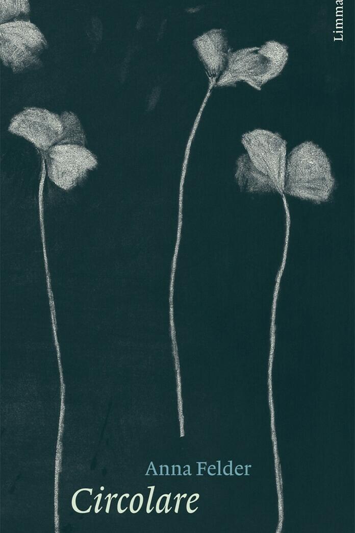 circolare, anna felder, roman, belletristik, literatur