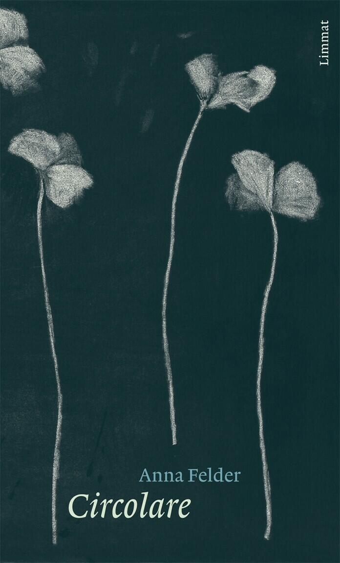 circolare, anna felder, roman, belletristik, literatur