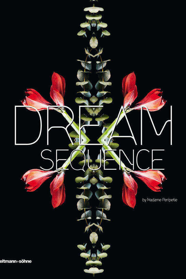 dream sequence, sylwana zybura, kunstbuch bildband fotobuch ausstellungskatalog