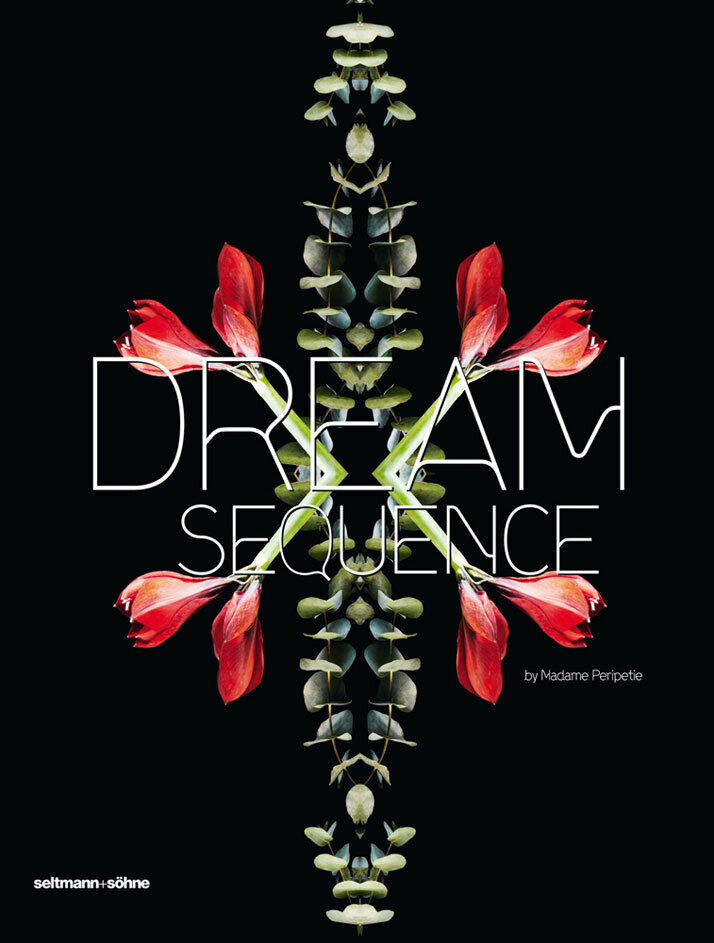 dream sequence, sylwana zybura, kunstbuch bildband fotobuch ausstellungskatalog