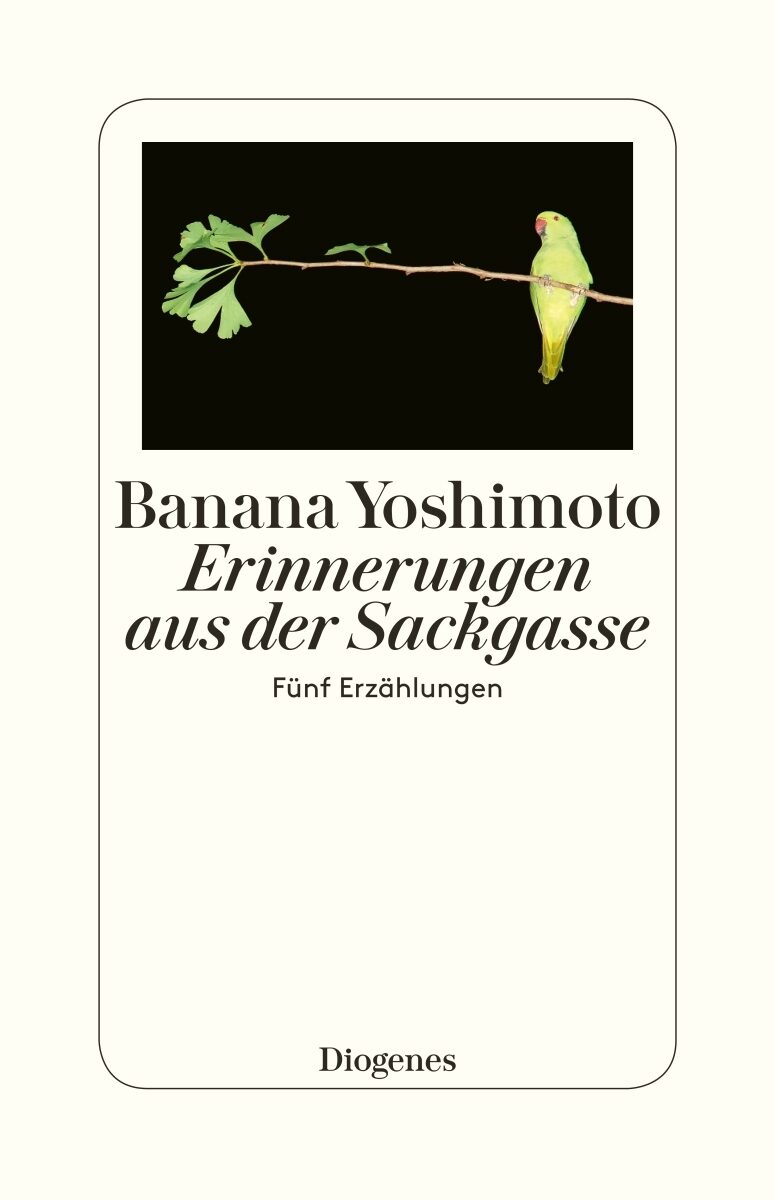 erinnerungen aus der sackgasse, banana yoshimoto, roman, belletristik, literatur