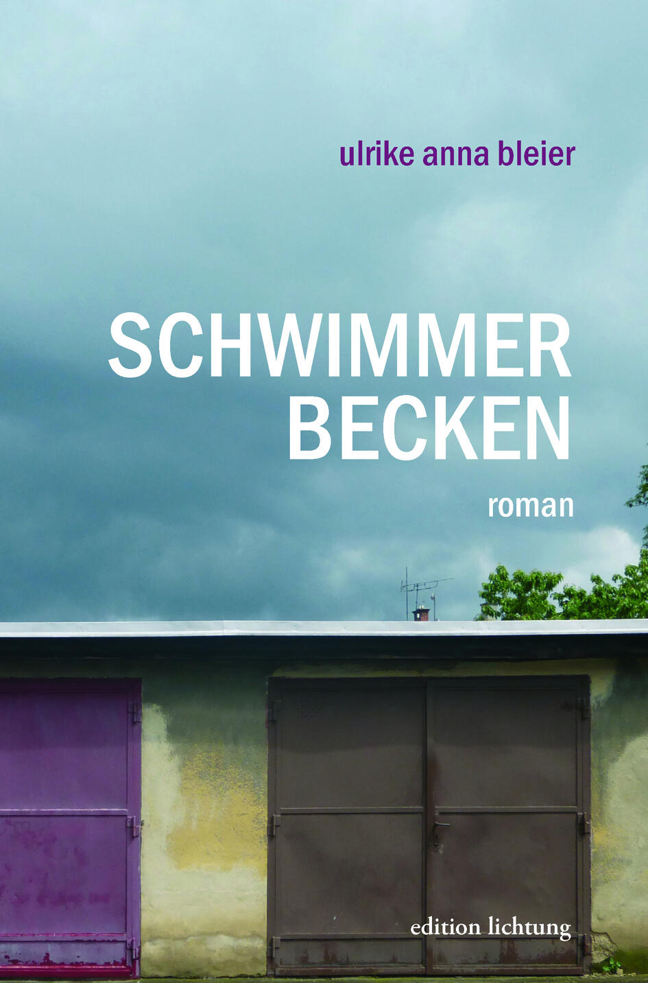 schwimmerbecken, ulrike anna bleier, roman, belletristik, literatur