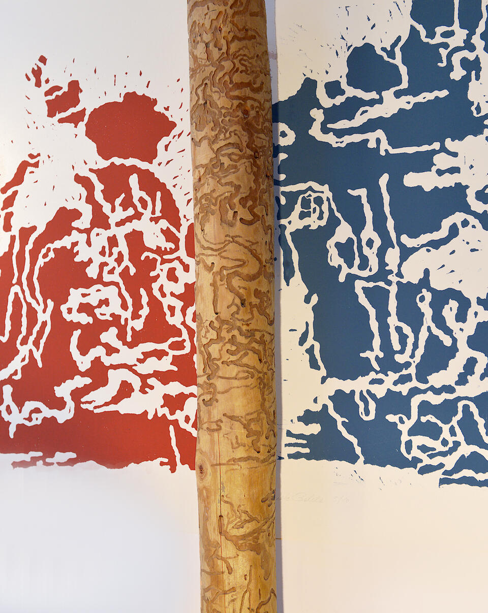 Renate Behla, Die Ergänzerin, Ausstellung, Kunstausstellung, Leverkusen, Museum Morsbroich, Schadbilder