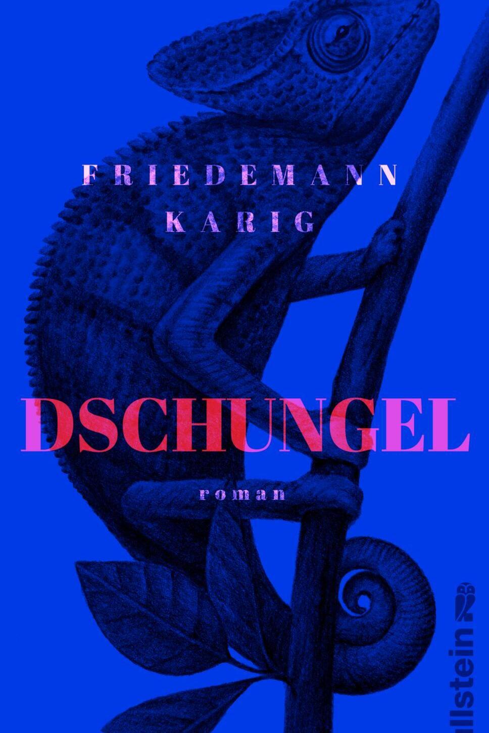 dschungel, friedemann karig, roman, belletristik, literatur