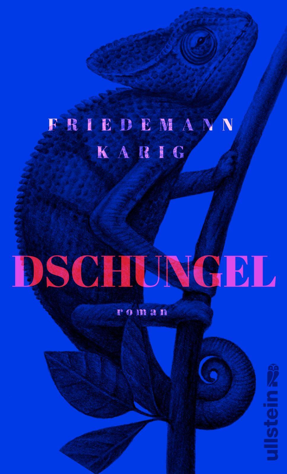 dschungel, friedemann karig, roman, belletristik, literatur
